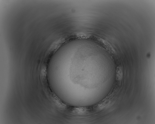 X0000094770713200711241317