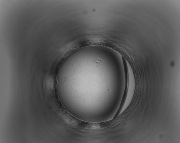 X0000094770715200711241317