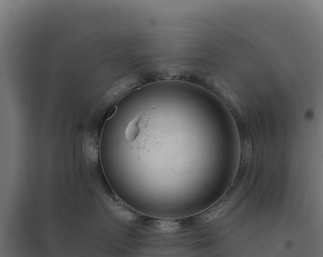 X0000094770719200711241317