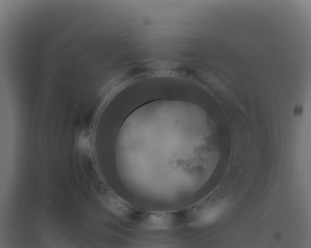 X0000094770720200711241317