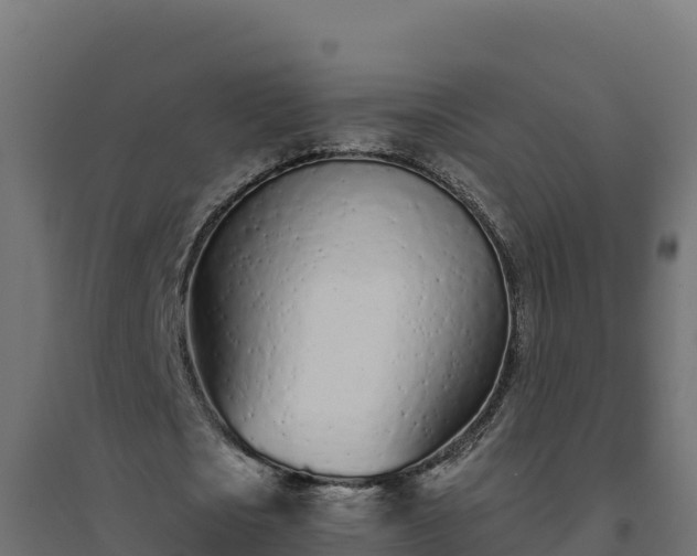 X0000094770721200711241316