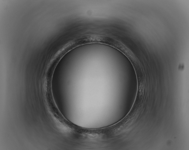 X0000094770722200711241316