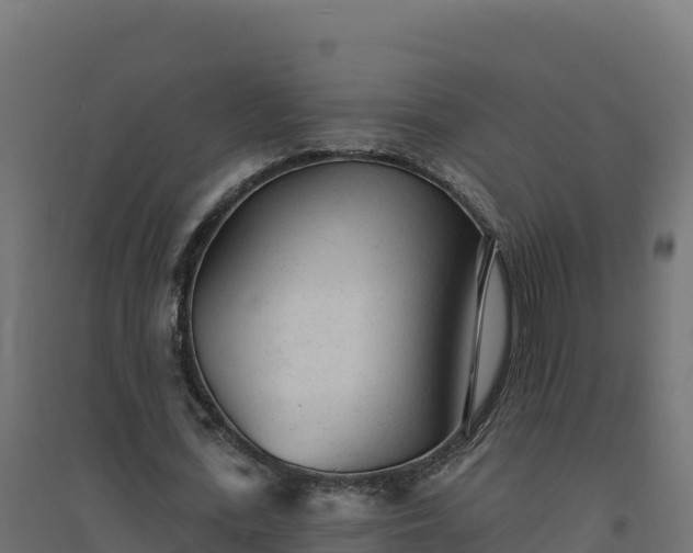 X0000094770723200711241316