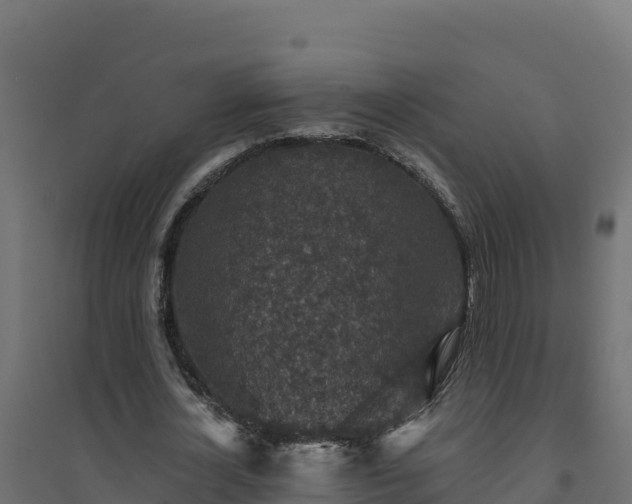 X0000094770724200711241316