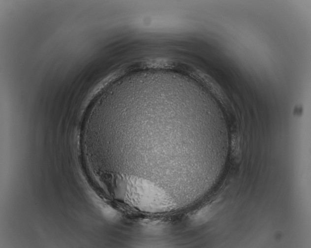 X0000094770725200711241316