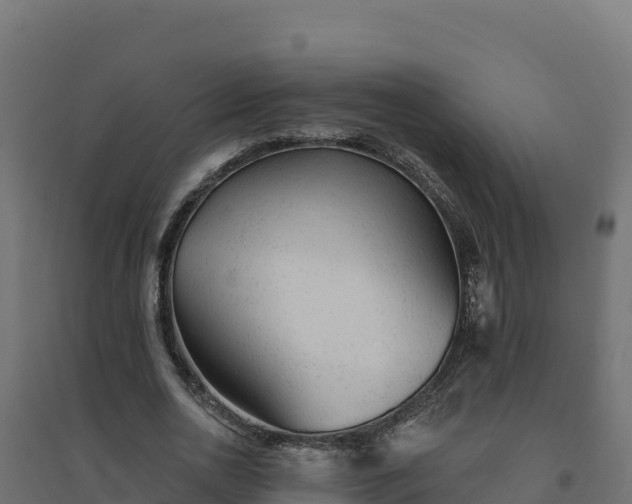 X0000094770726200711241316