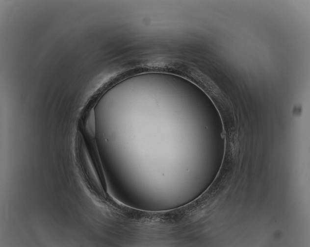 X0000094770728200711241316