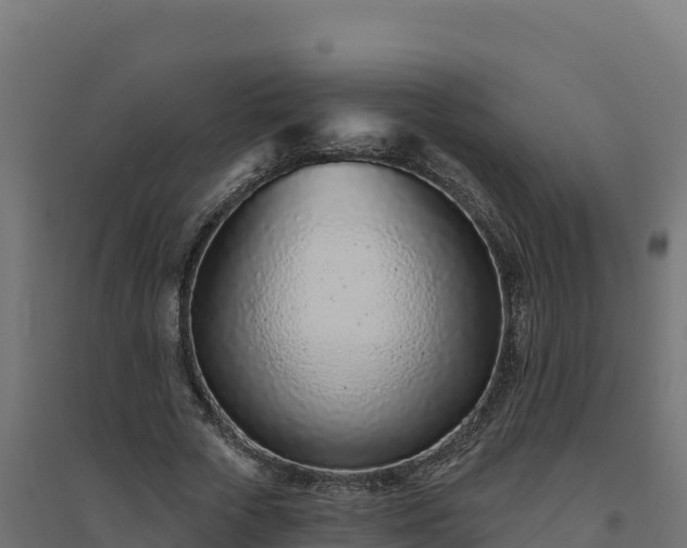 X0000094770729200711241316