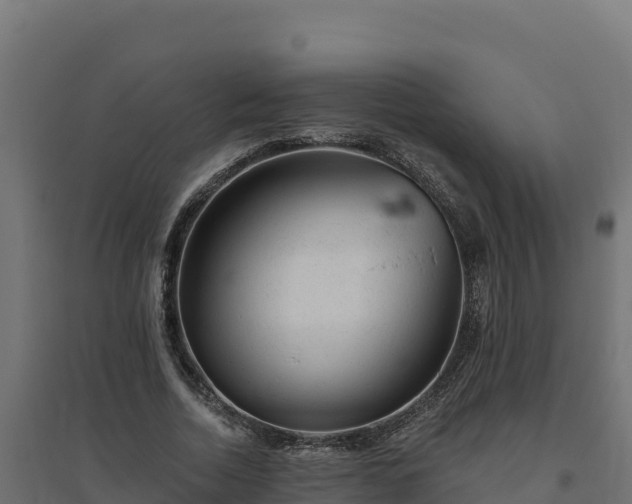 X0000094770730200711241316