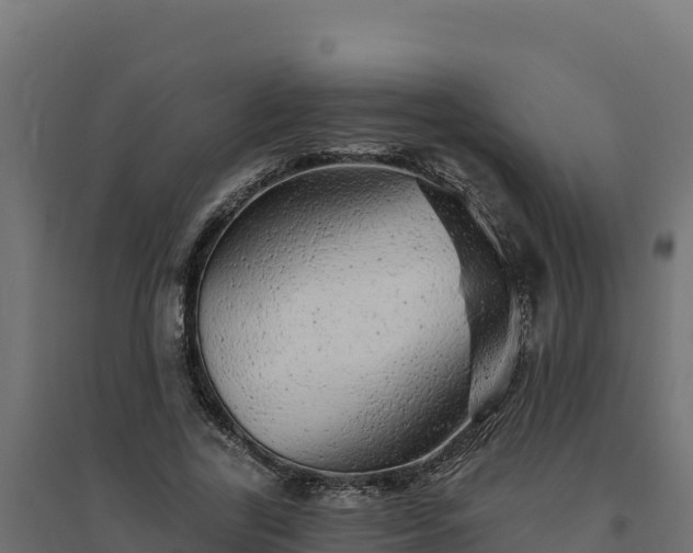 X0000094770731200711241316