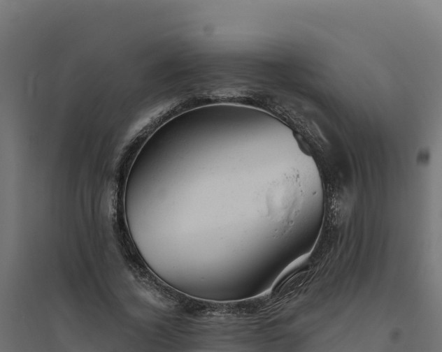 X0000094770732200711241316