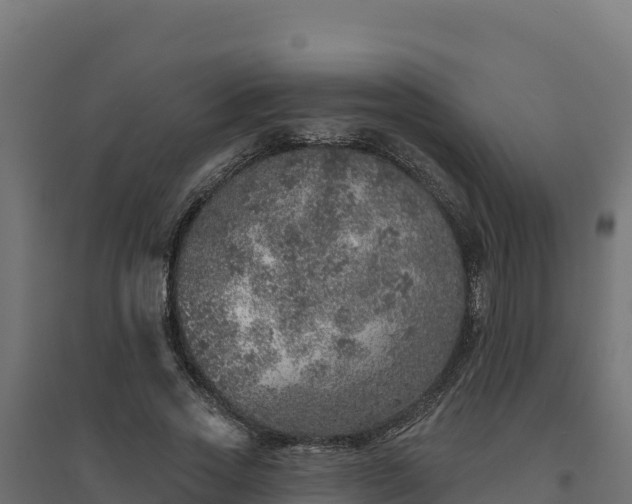 X0000094770733200711241316