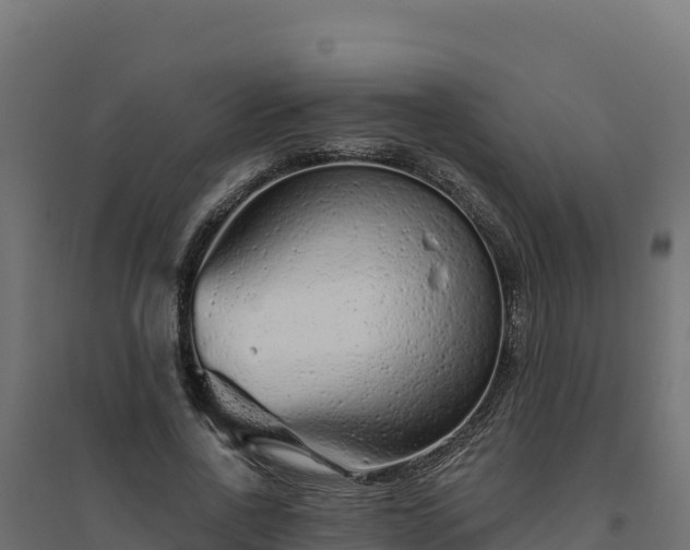 X0000094770734200711241316