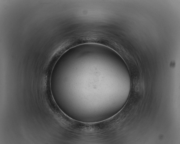 X0000094770735200711241316