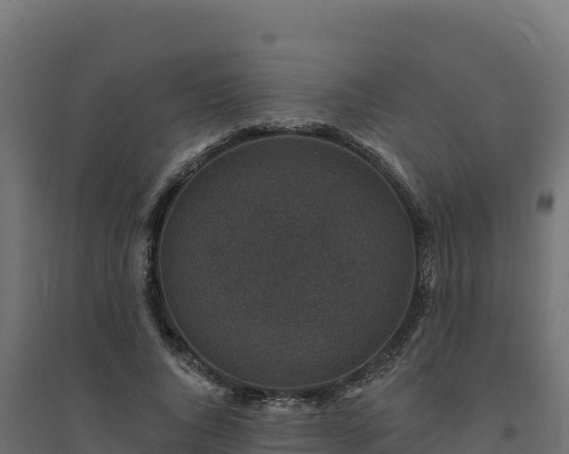 X0000094770736200711241316