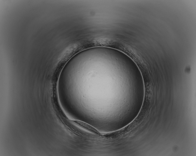 X0000094770738200711241316