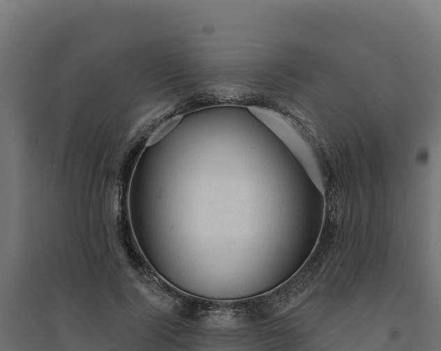 X0000094770740200711241316