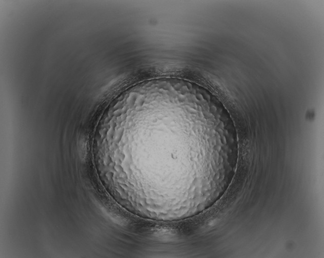 X0000094770741200711241316