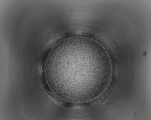 X0000094770746200711241316