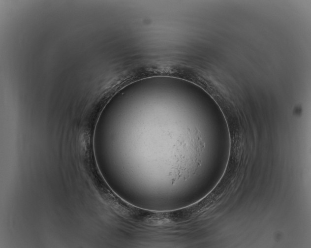 X0000094770747200711241316