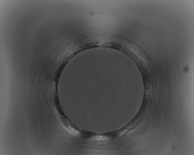 X0000094770748200711241316