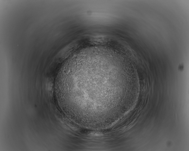 X0000094770749200711241316