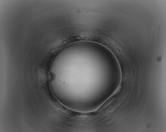 X0000094770751200711241316