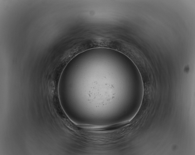 X0000094770752200711241316