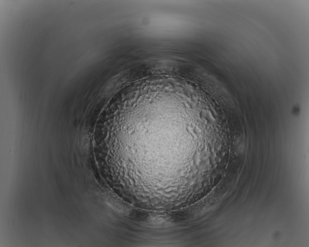 X0000094770753200711241316