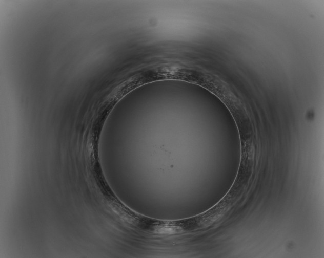 X0000094770754200711241316