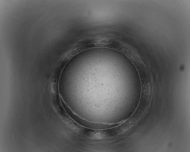 X0000094770755200711241316