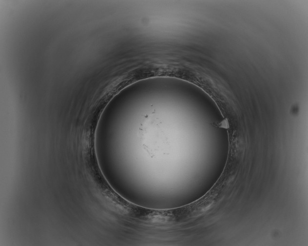 X0000094770756200711241316