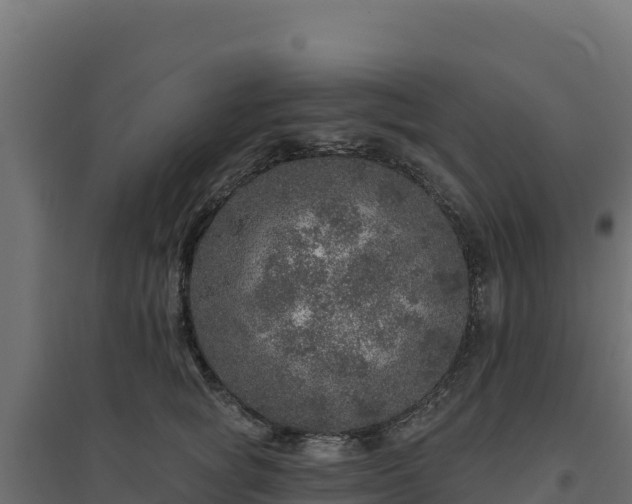 X0000094770757200711241316