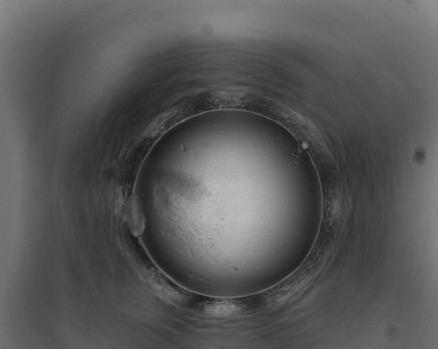 X0000094770759200711241317