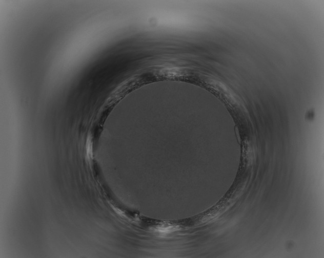 X0000094770760200711241317