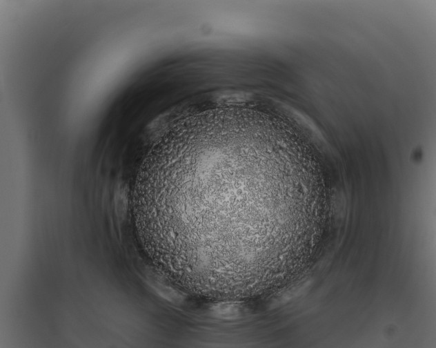 X0000094770761200711241317