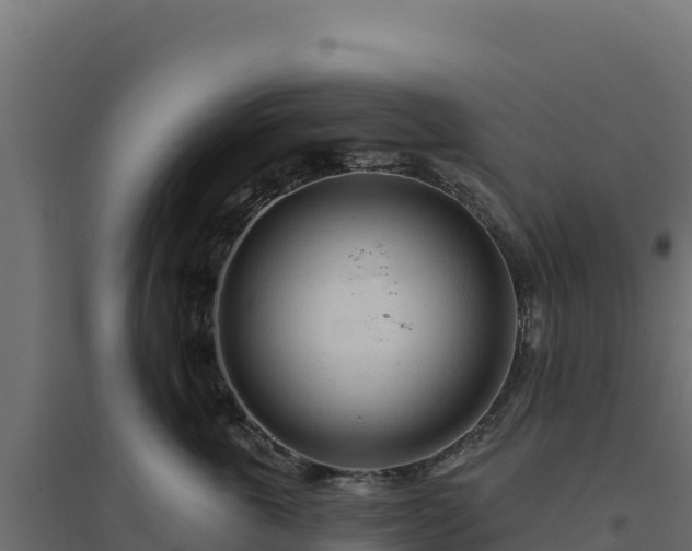 X0000094770763200711241317