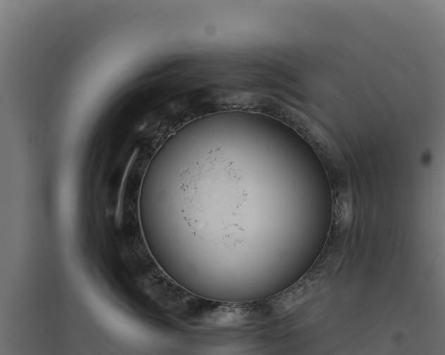 X0000094770764200711241317