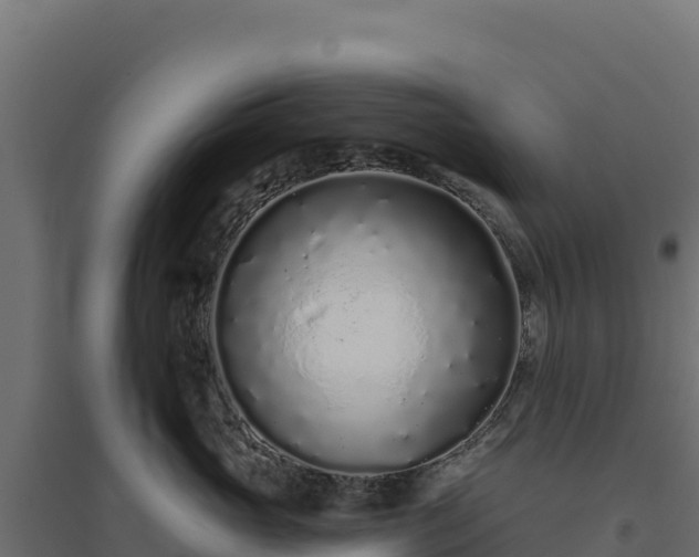 X0000094770765200711241317