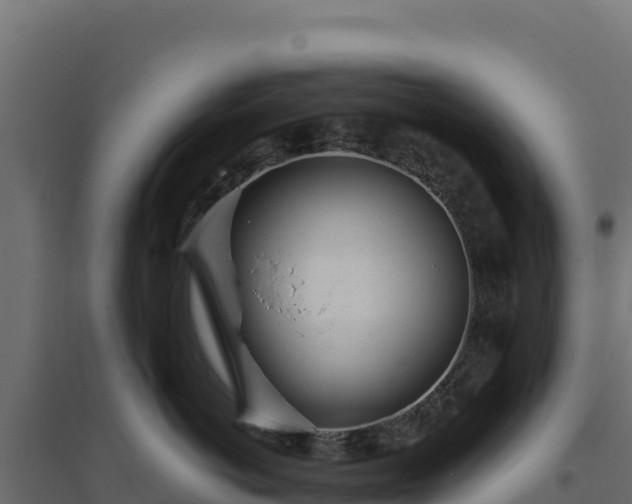 X0000094770766200711241317