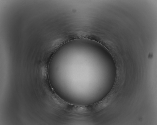 X0000094770768200711241317