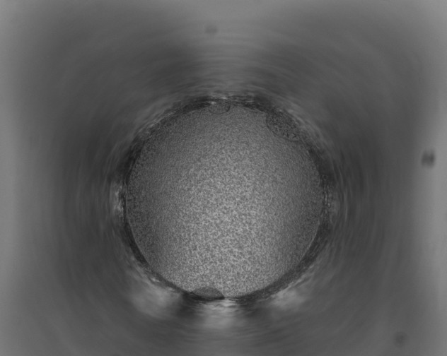 X0000094770770200711241316