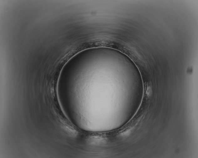 X0000094770771200711241316