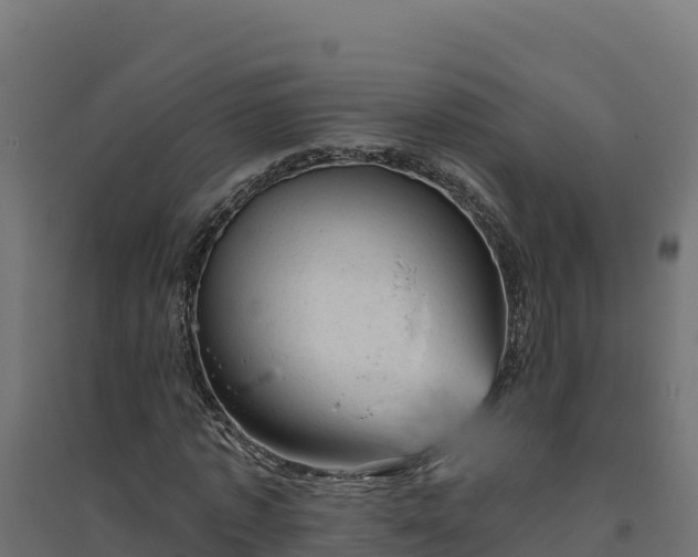 X0000094770773200711241316