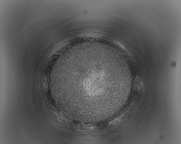 X0000094770774200711241316