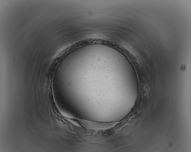 X0000094770775200711241316