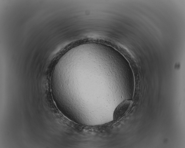 X0000094770776200711241316