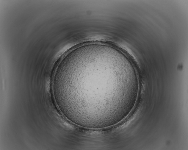 X0000094770778200711241316