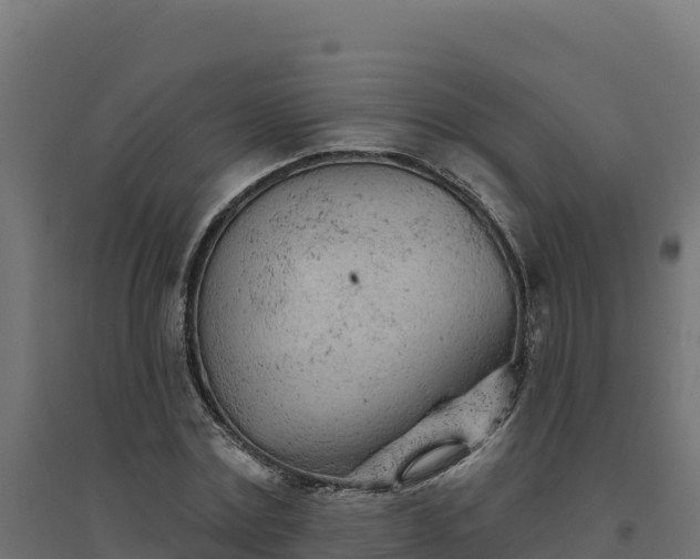 X0000094770779200711241316