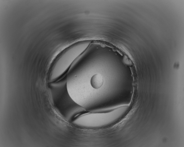 X0000094770781200711241316